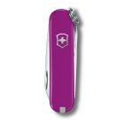 Classic SD | Colors | Tasty Grape