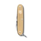 Pioneer Alox | Limited Edition 2019 | Champagne Gold