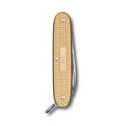 Pioneer Alox | Limited Edition 2019 | Champagne Gold