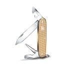 Pioneer Alox | Limited Edition 2019 | Champagne Gold