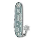 Pioneer X Winter Magic Special Edition 2020