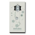 Pioneer X Winter Magic Special Edition 2020