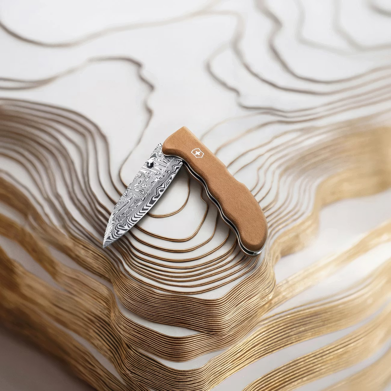 Victorinox Evoke Wood Damast Limited Edition 2026